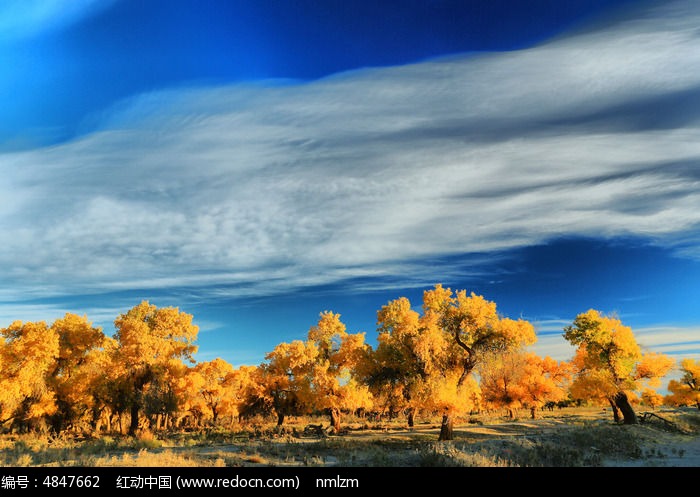 ����������ͼƬ