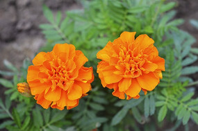 �ջ�����