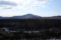 ������ɭ��