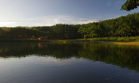 ���غ���