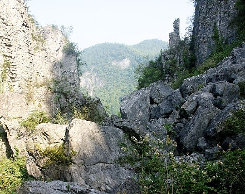 ���ʷ�����