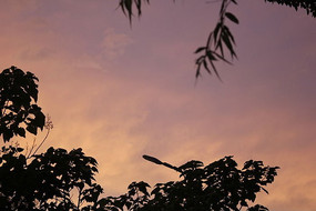 �����ͼƬ