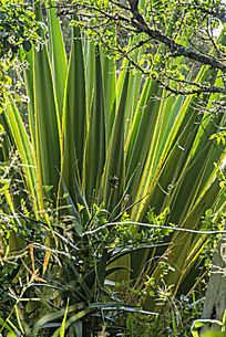 ����«��