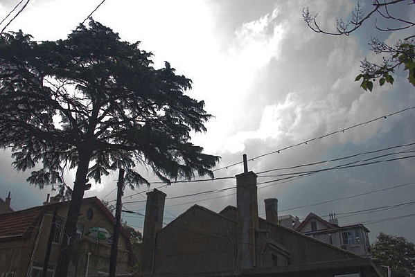 ������Ӱ