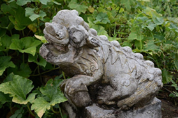 �˵����ʯʨ��