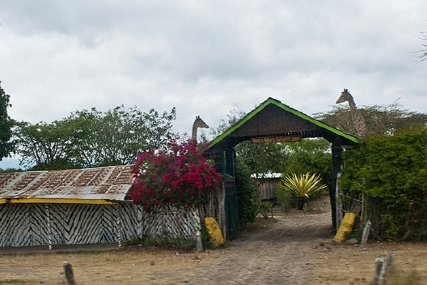 ����÷Ժ��