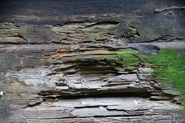 ����ľ��ǽ�ϵ���д