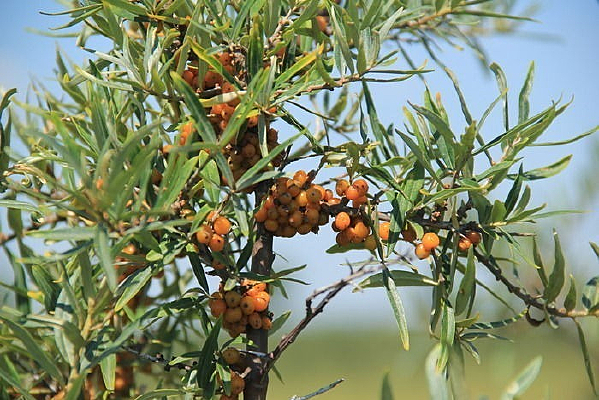 ɳ����ʵ�Ľ�������