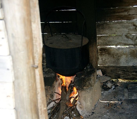 ɽ����ͥ�����д