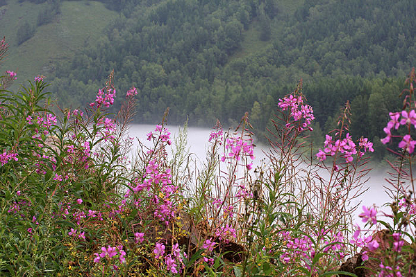 Ұ������