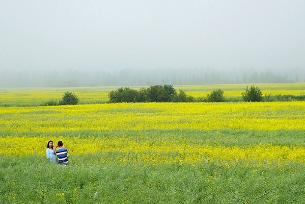 ���ױ������Ͳ˻�