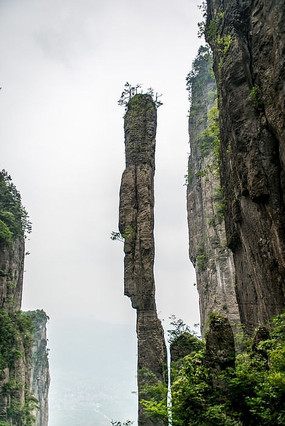 ֱ������