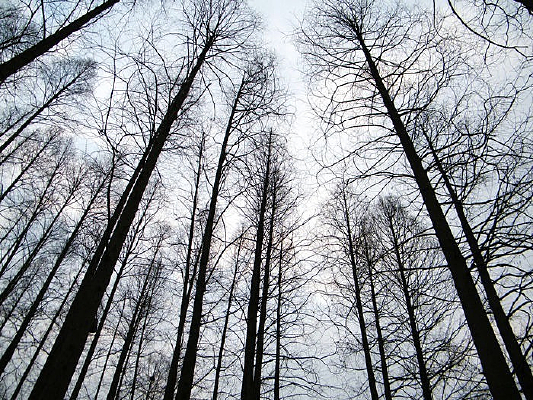 ���վ���