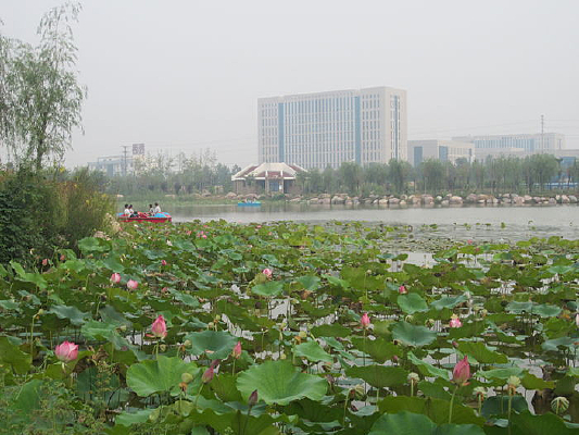 ���ߵĽ���