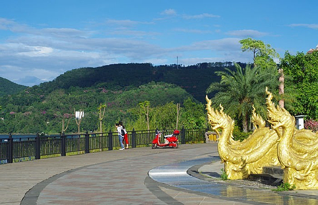 ��������