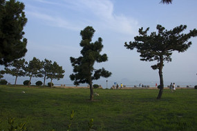 �ൺ��������