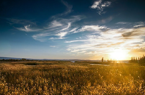 ʪ�����«έ