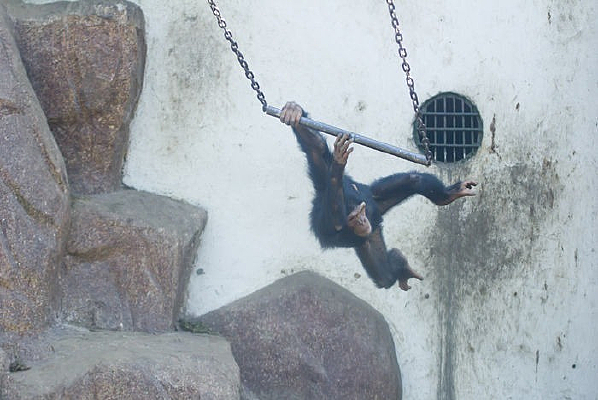 ������ˣ