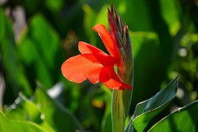 ��԰�е�С�Ž���