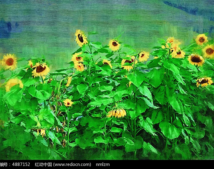 �����ͻ���������䡷ͼƬ