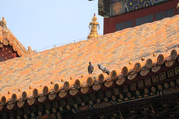 �Ŵ�����