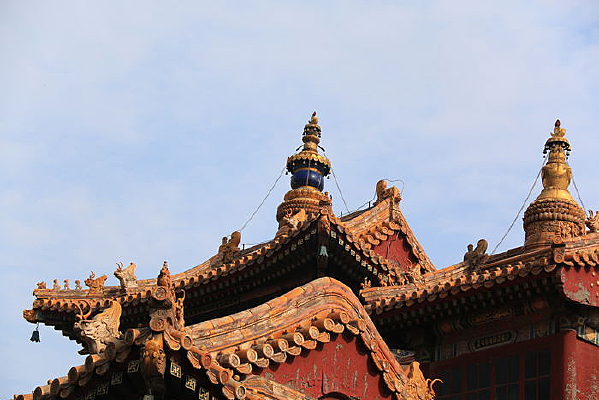 �ʼҹŴ���������