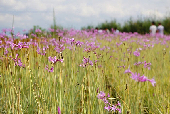 Ư������ɫ����