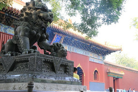 ����ʯʨ��