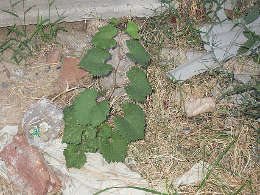 С������