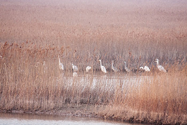 ���ڴ���