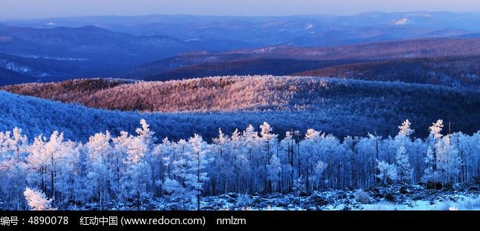 ��ɫ�ֺ�ͼƬ