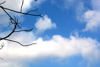 �γ������