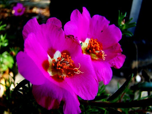 �����������˻�