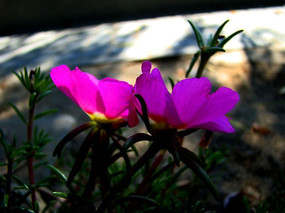 ��η���������˻�