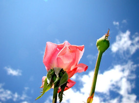 ����ɫ���¼���