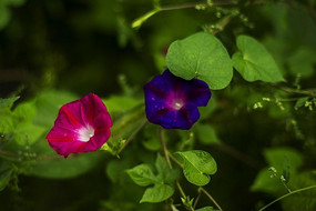 �컨������