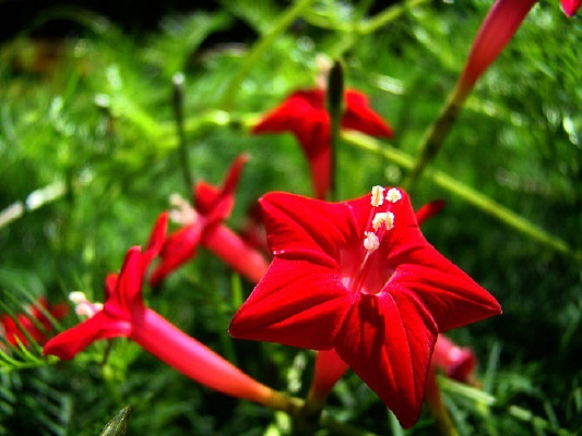 �������������ﻨ