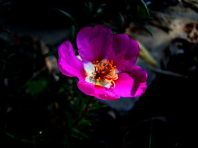 �͸��������˻�