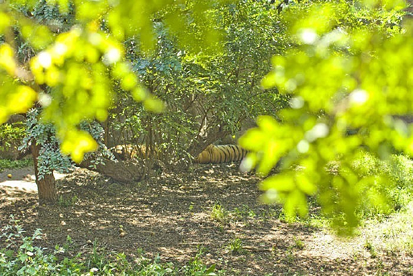 �ൺ����԰