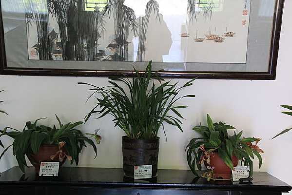 ���費ͬƷ������