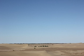 ɳ������