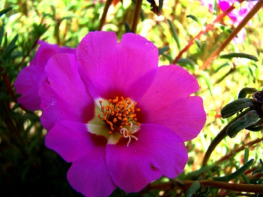 ��������ǿ�����˻�