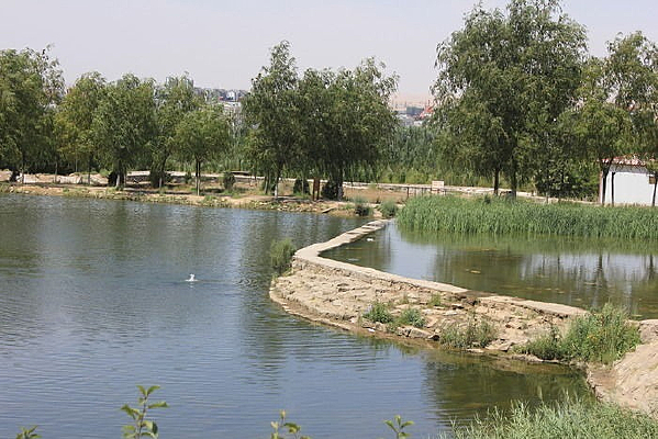 ·������ͼ