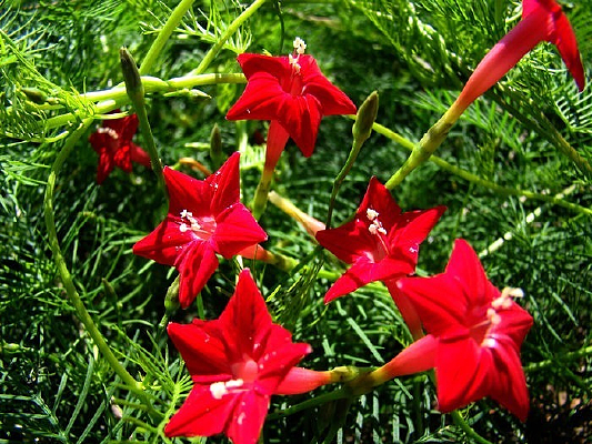 ϲ����ů���������ܻ�