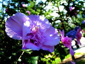 �������ľ�Ȼ�