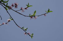 ����µ��һ�