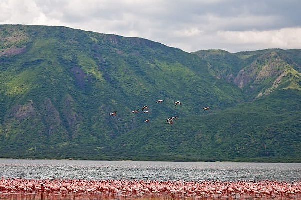 ��Ⱥ������