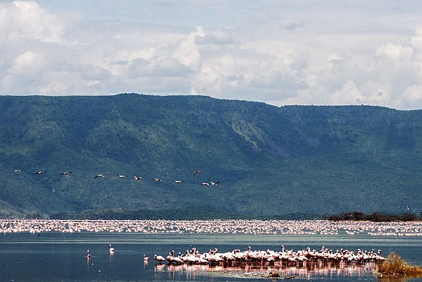 ��ɽ����