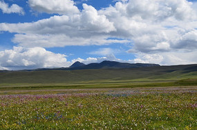 һ���޼ʵ�ë����ԭ