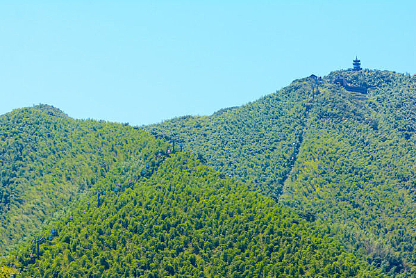 ����ɽ��